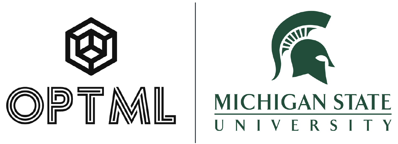 OPTML Group MSU Logo